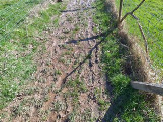 Extremely muddy and waterlogged path, about 1 metre wide